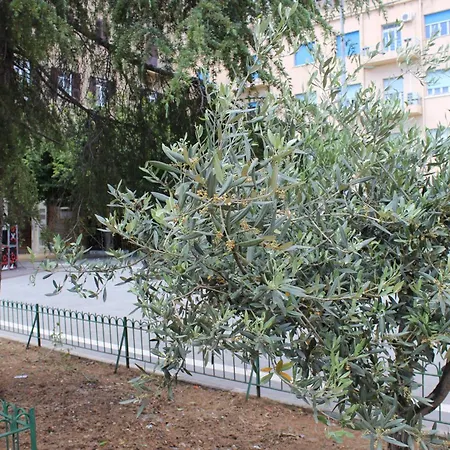 Del Viale